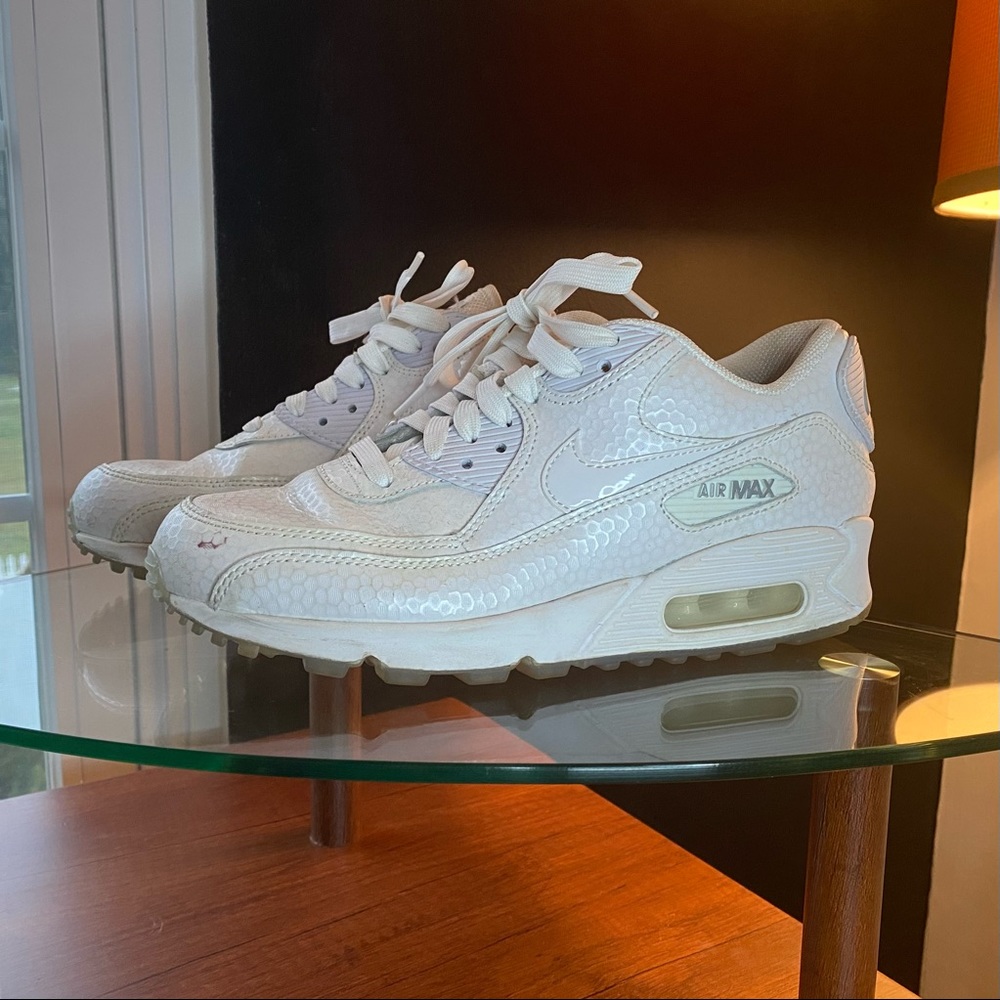 Nike Air Max